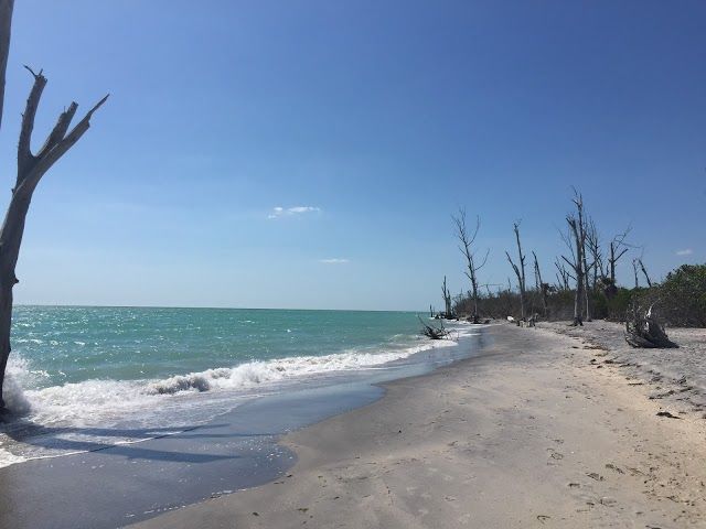Stump Pass Beach State Park